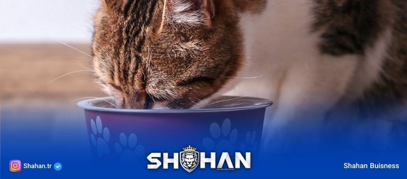 واردات غذای حیوانات خانگی جیم کت و جیم داگ