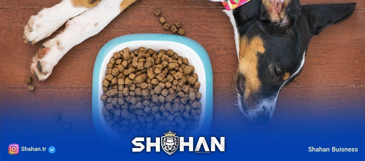 واردات غذای خشک بابین برای سگ و گربه