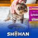 واردات غذای گربه برند ویسکاس از ترکیه